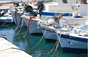 16 Mediterranean countries confirm commitment  to achieve  sustainable fisheries
