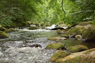Better European river management with the AMBER project