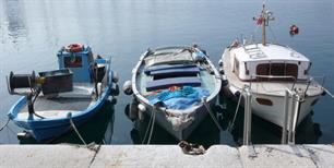 Fisheries management proposal for the Western Mediterranean published