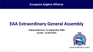 Fruitful meetings of the EAA General Assembly and Subgroups