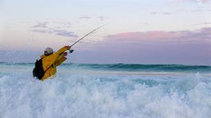 Including marine recreational fisheries in the CFP: can the EU afford not to? 