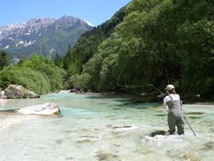 Introducing... the Fishing Association of Slovenia