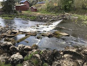 New dam removal projects in Sweden: anglers in action for free-flowing rivers