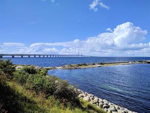 Recreational sea angling in the Öresund might be worth over €50 million euro