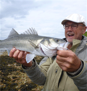 Sea bass - EAA's position on the 2021 fishing opportunities