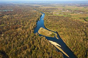 77,000+ citizens call on Slovenian government to stop damming of the Mura River