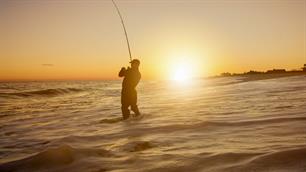 EAA adopts two new position papers on Atlantic Salmon in the Baltic and Western Baltic Cod
