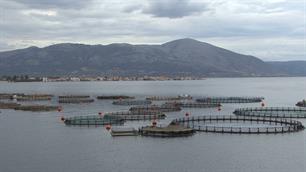 European Aquaculture Advisory Council launched