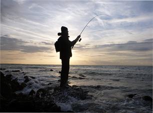 European Commission exchange views with MEPs - Committee on Fisheries, European Parliament