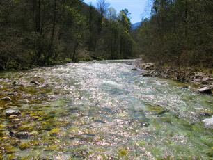 EVENT - Freshwater fishes in the context of the EU Biodiversity Strategy - 24 & 25 November