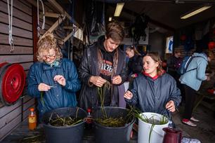 From Rods to Reefs: Danish Anglers Restore Coastal Ecosystems with “Kysthjælper” project