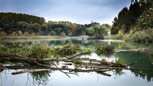 Implementation of the Biodiversity Strategy: focus on fish migration in the Danube