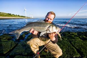 New study confirms the economic significance of seabass angling in the Netherlands