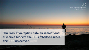 PECH Committee hearing: A sustainable use of and fair access to fish stocks requires better data on recreational fisheries