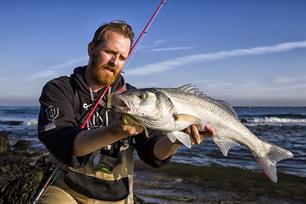 Sea Bass Management Measures 2019 Agreed Today 