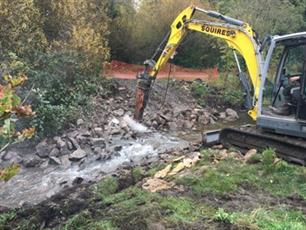 Spotlight on a Trent Rivers Trust project: weirs removal and habitat restoration in Hatchford.