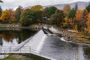 Successful Fish Migration Project Enhances River Dee Ecosystem