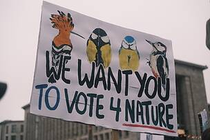 The Nature Restoration Law returns with unwavering public support