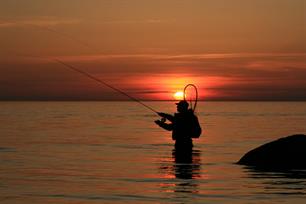 The untapped potential of recreational angling tourism 