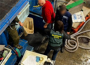 Vast international Eel smuggling network smashed down by French and Spanish investigators