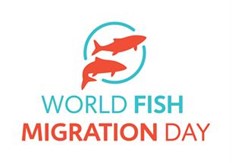 World Fish Migration Day 2022: BREAK FREE!
